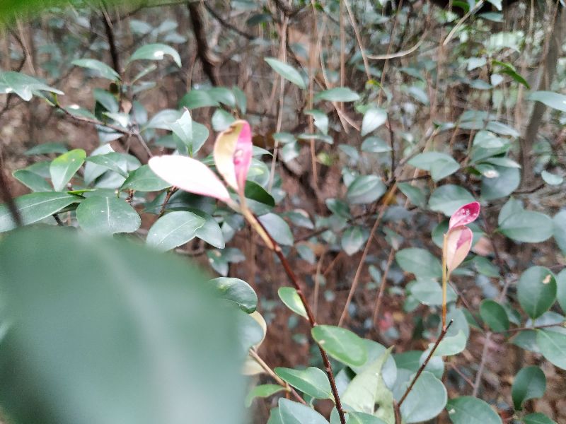 杭州市周末自驾游去哪里好玩,杭州出发周末旅游攻略