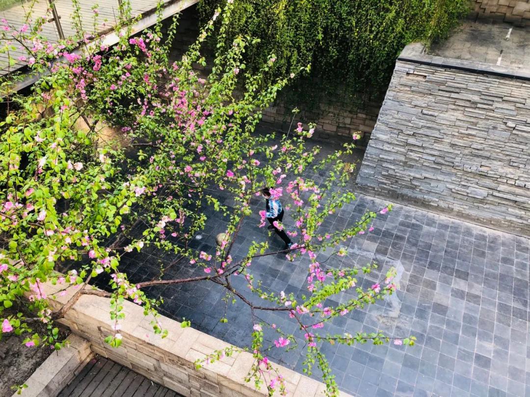 35岁才知道的事,35岁了才知道钱的重要性