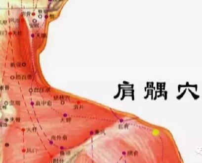 硬肩耸肩怎么办,肩膀僵硬怎么合理开肩