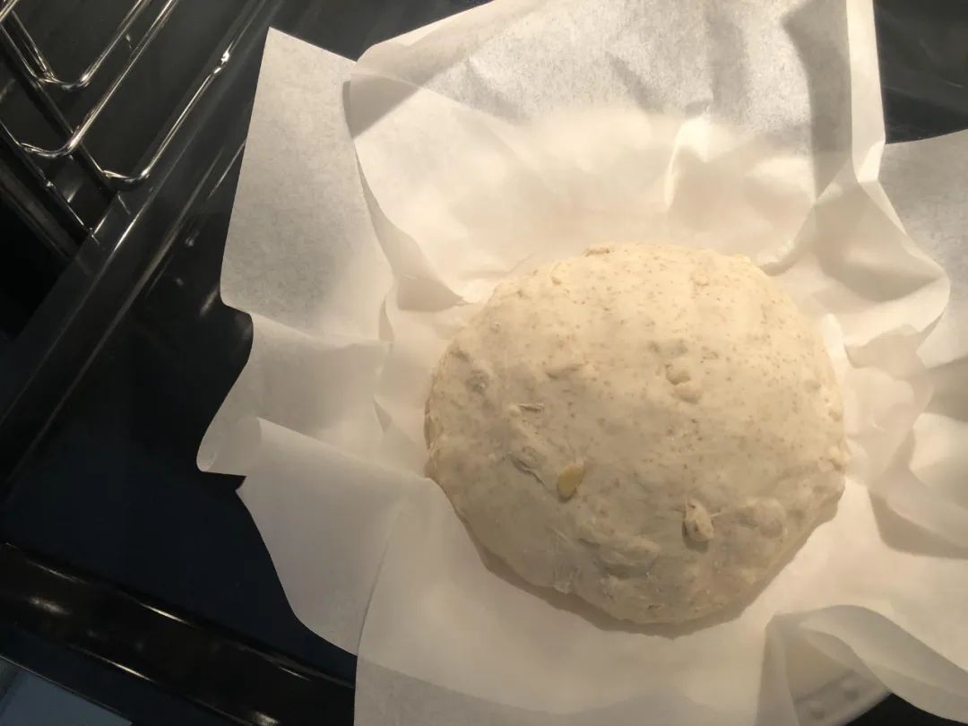 真正好用的蒸汽烤箱,最新款蒸汽烤箱