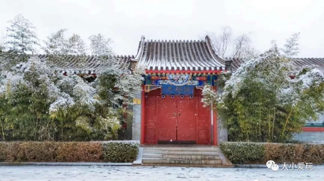 北京适合踏春旅游景点,北京春天看花的景点推荐