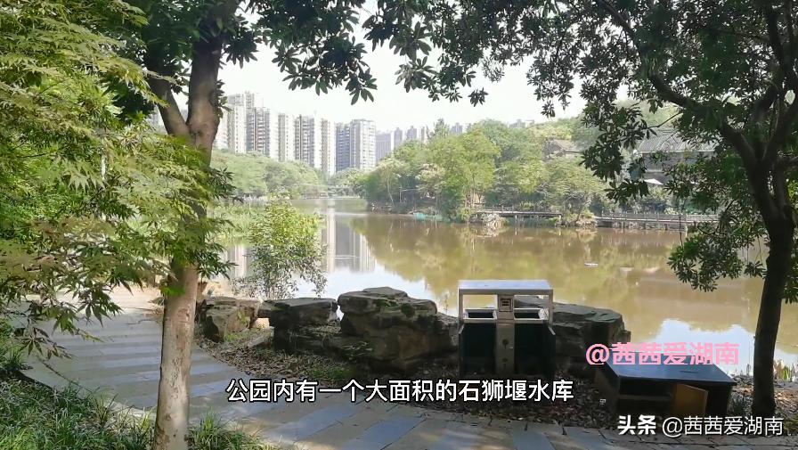 衡阳平湖健身公园,衡阳市平湖公园