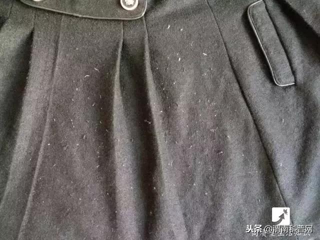 衣服粘毛毛小妙招,洗衣机洗衣服衣服粘毛怎么解决