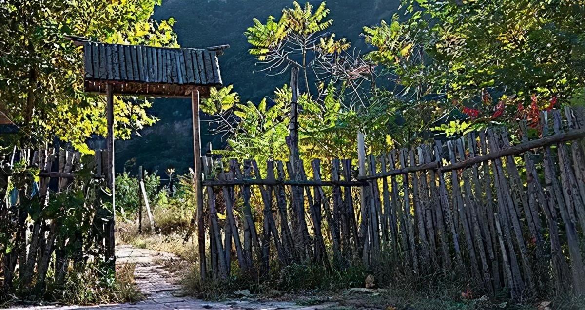 南宋奇闻：六旬官僚老风流，踏春寻艳竟遇痴狐！一曲弱女子的悲歌