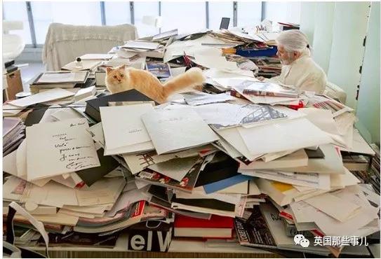 老佛爷的猫继承多少遗产,老佛爷去世后财产留给了一只猫