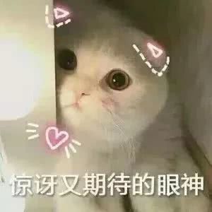 深圳爬山的好去处,深圳爬山地方推荐适合小朋友