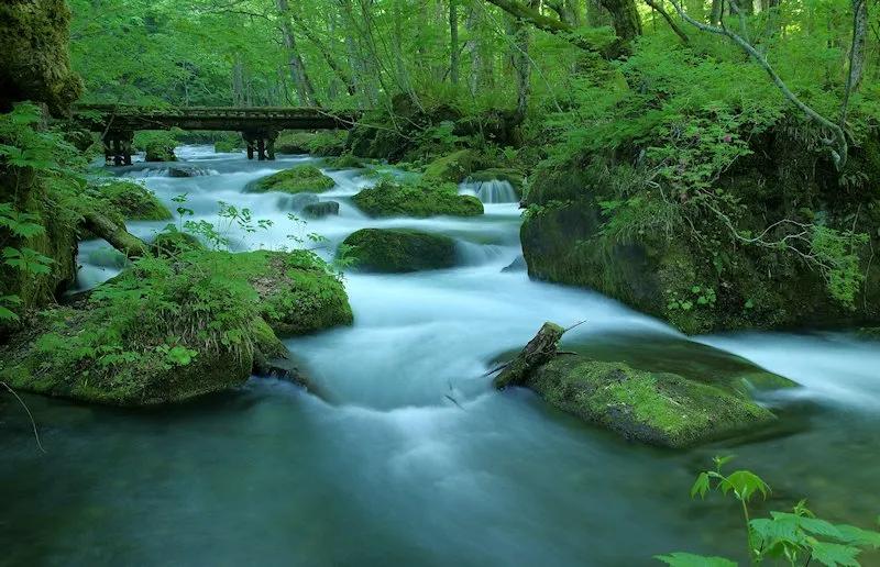 带有收藏的成语,成语归纳给孩子收藏吧