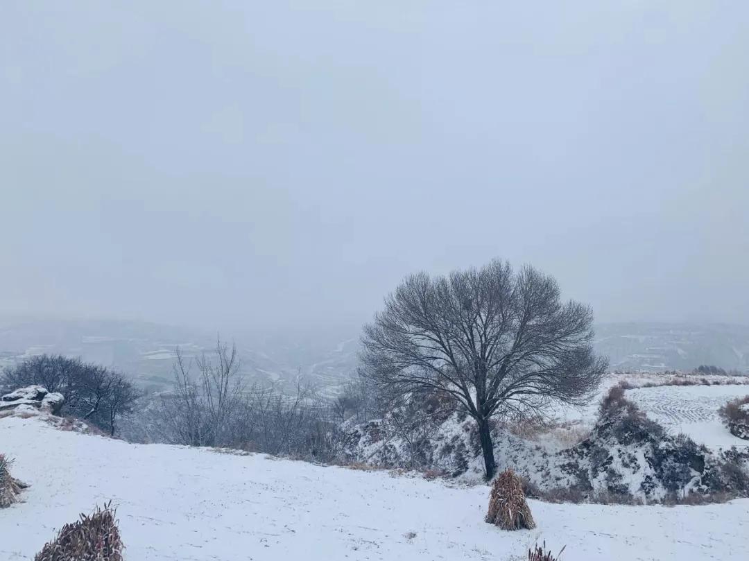 跟他比起来，你的：云办公“弱爆了！你还有理由不好好努力吗？