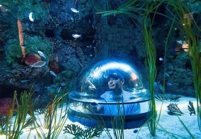 沉浸式乐园强势来袭游客“刷刷刷”不停