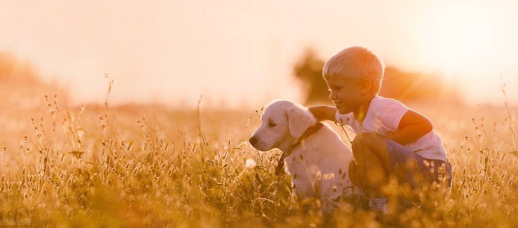 在挪威生活孤独么,在挪威工作感受