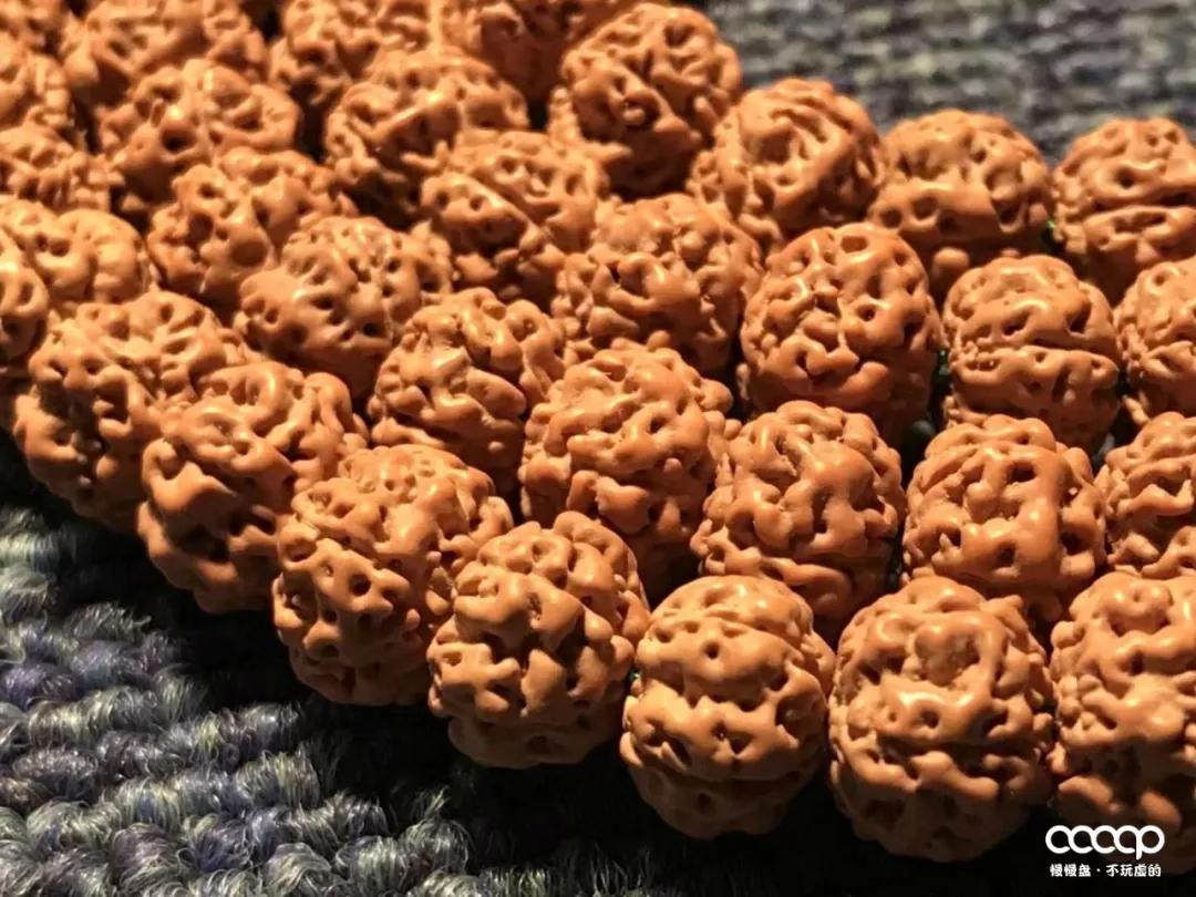 小金刚价格为什么差这么多,小金刚被骗200万