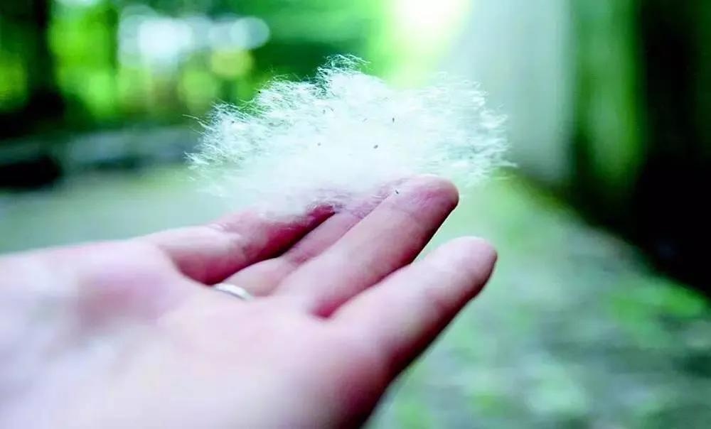 老公感情寡淡怎么办,老公人情淡薄怎么规劝