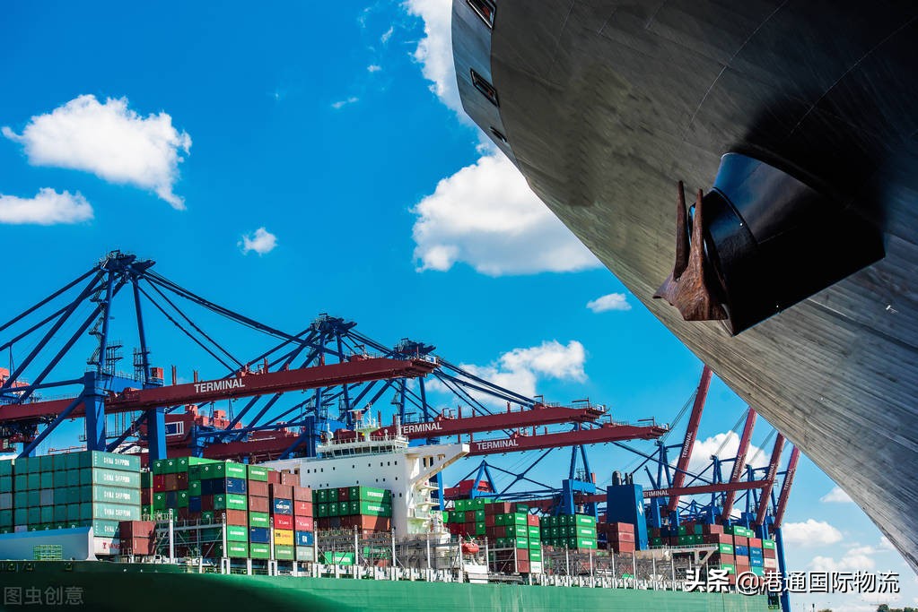 货代小白入门国际海运20讲,国际海运物流基础知识