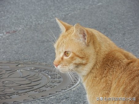 面对疾病的恐慌该怎么办,害怕虫子的心理分析
