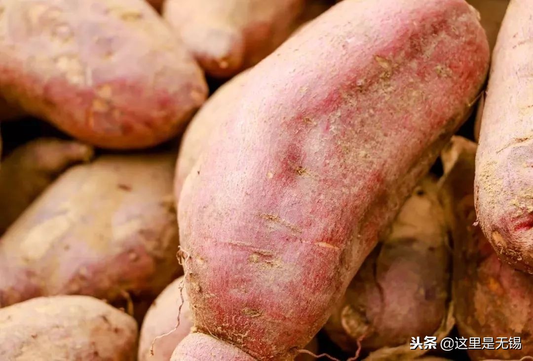 有味道的无锡老街回忆,老无锡的20条记忆