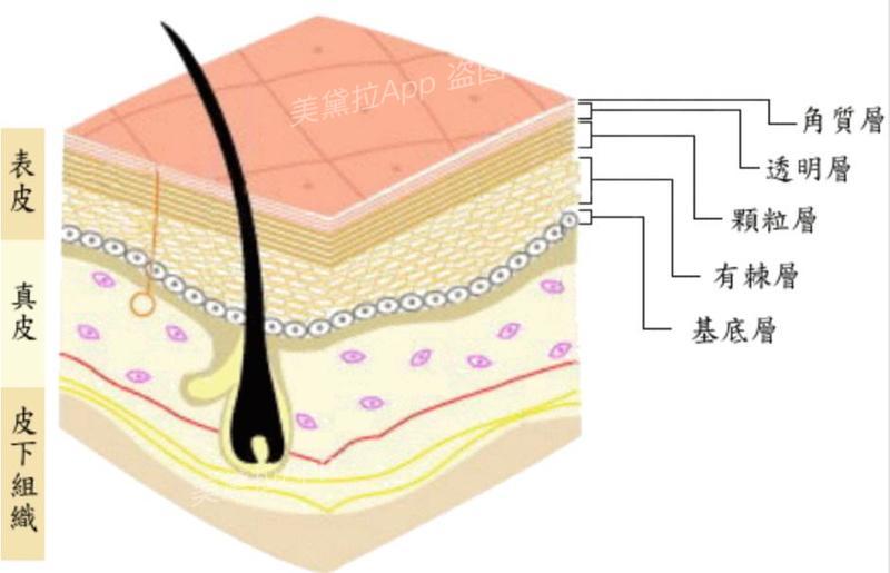 秋冬沙漠干皮巨补水的水乳,沙漠肌补水护肤水