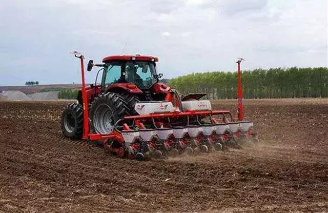 玉米种植的方法与技术,青储玉米的种植方法和技巧