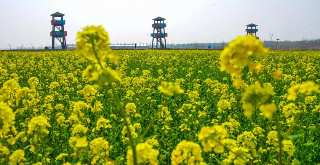 济南市灵山风景区,济南古香古色的景区