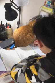 谁这么缺德原版,谁这么缺德原版视频