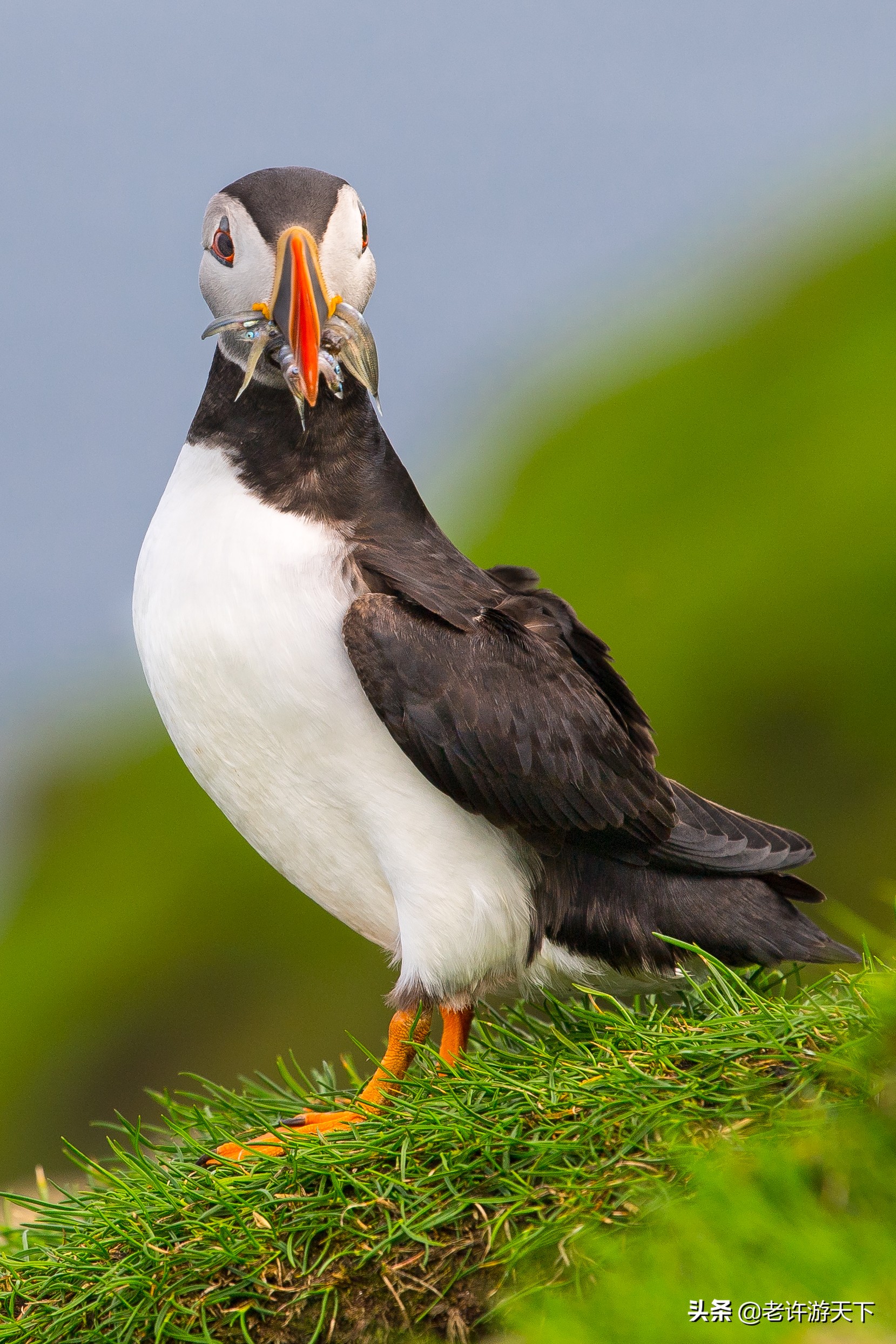 世界有名的海岛旅游胜地,世界10大最奇特海岛