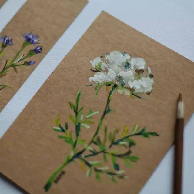 做一些无用的事。手把手教你画几朵花，够你打发一下午时间