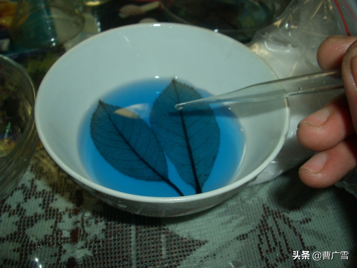 叶脉造型创意画幼儿作品,孩子喜欢的儿童创意画教程6-7岁