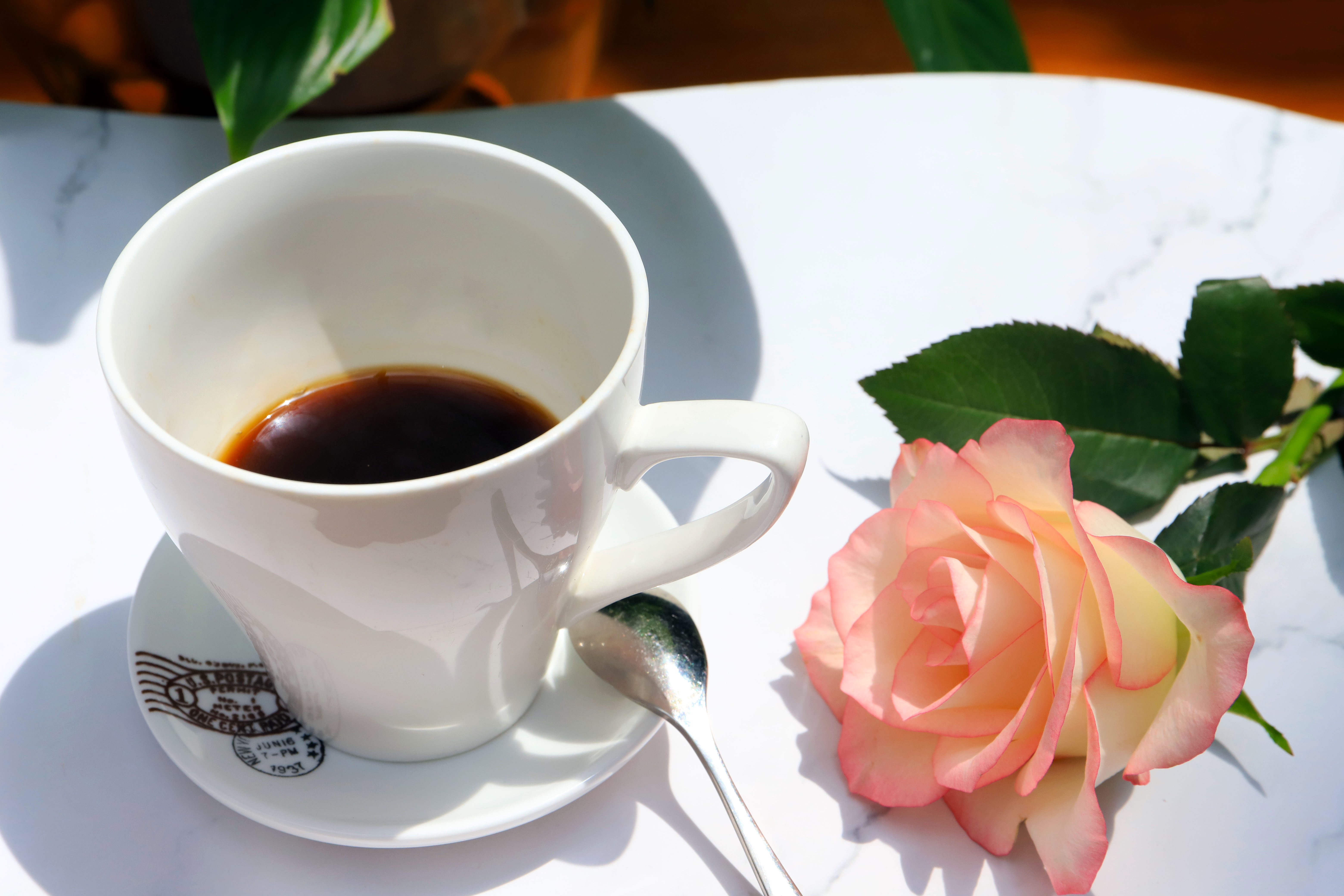 松茸C位的网红下午茶，打卡因美丽传说而诞生的第5颗陨石酒店