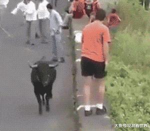 开心一刻gif搞笑,搞笑gif开心一刻好有节奏感