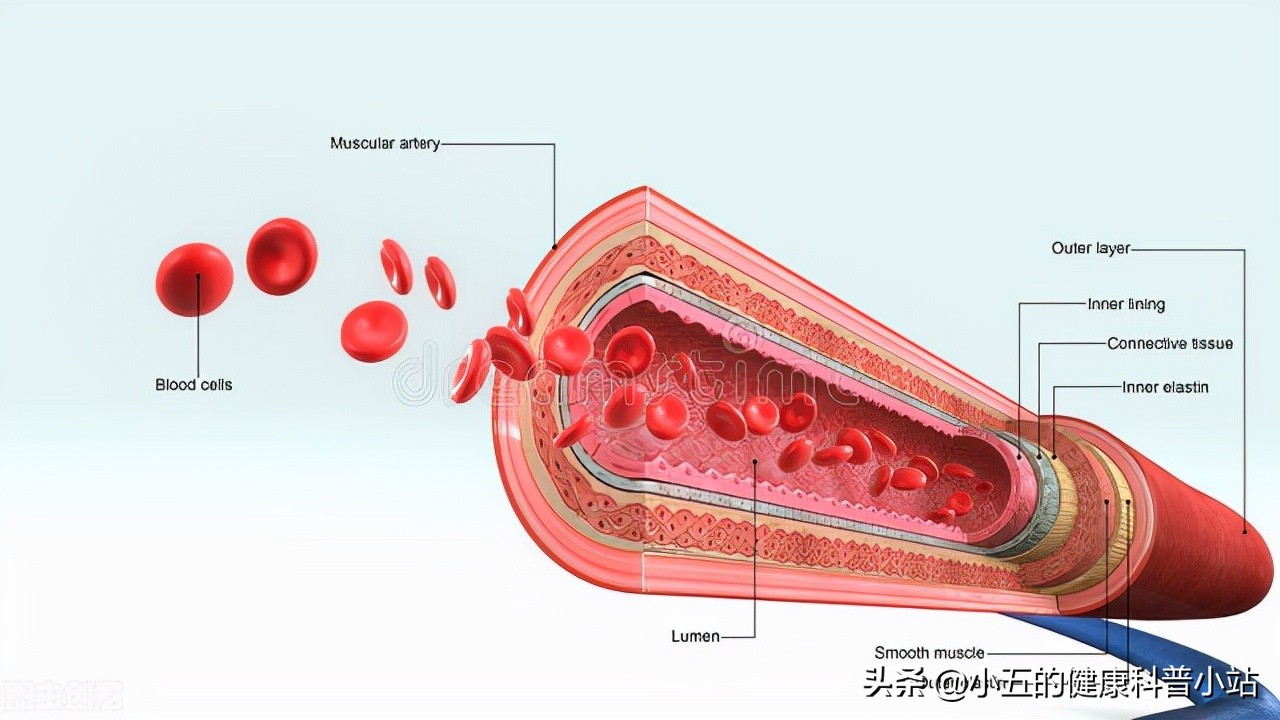 丹参滴丸治心血管病吗,丹参滴丸治心血管堵塞吗