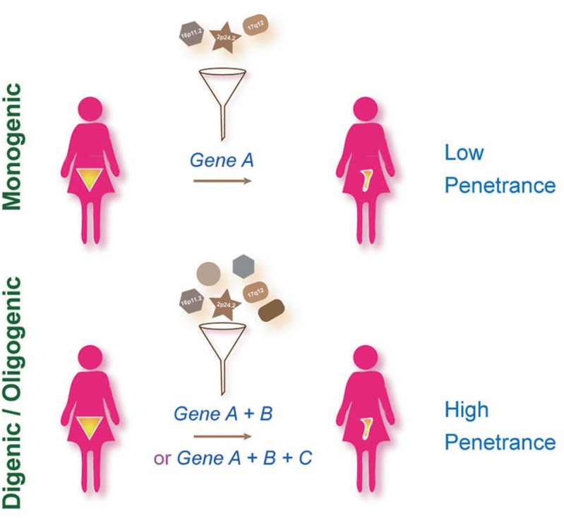 华克勤妇产科医生团队,复旦大学附属医院华克勤