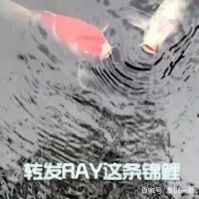 一哥专扒:RAY面膜被一哥扒的,可能连“*裤底**”都不剩!