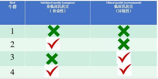 peter鍗氬＋鑲插効璇惧爞,鑻卞浗peter