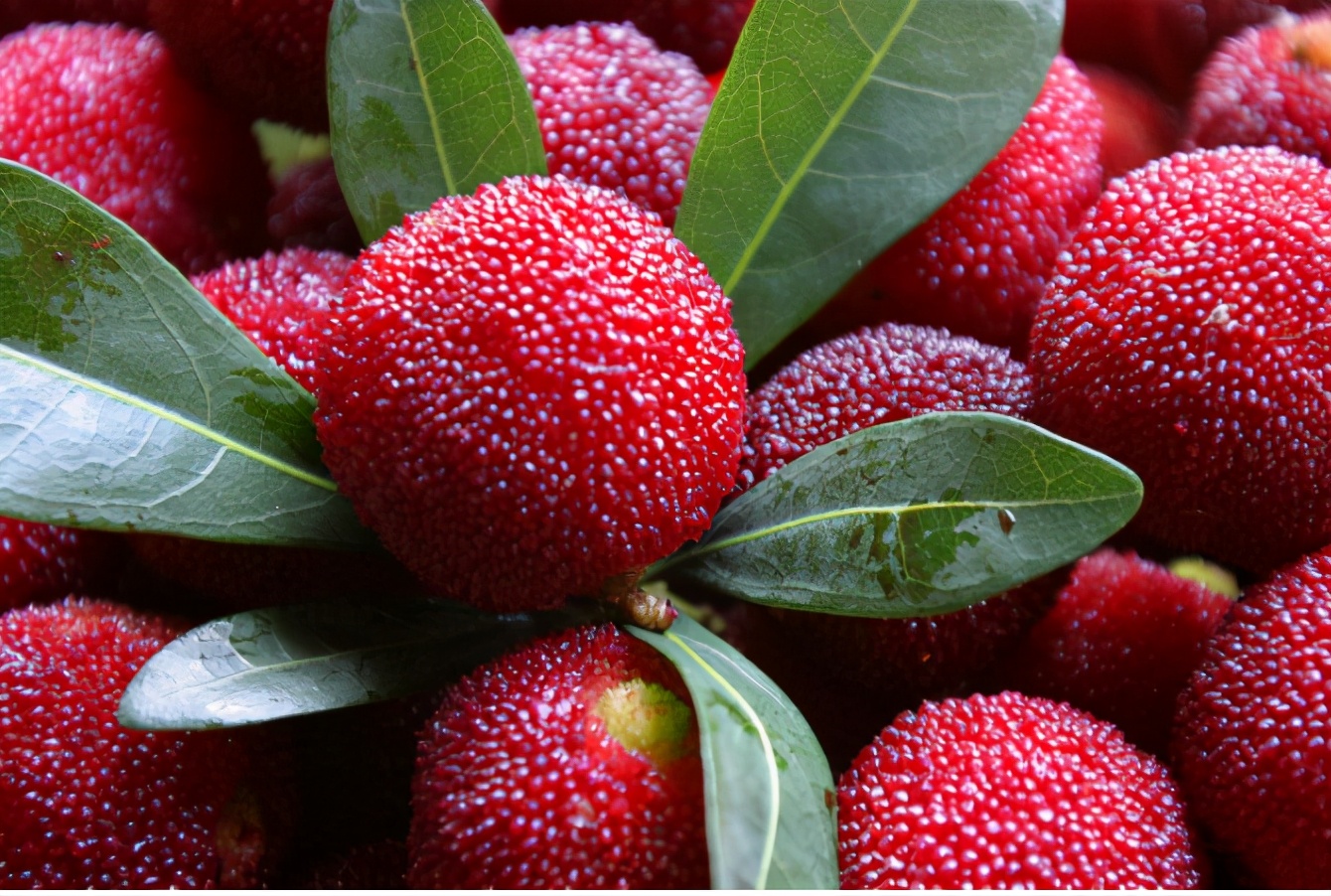 清洗杨梅汁的小窍门,清洗杨梅的正确方法