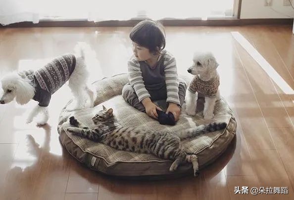 宅家不晒娃～那便失去了灵魂！审美教育，从「晒娃」开始