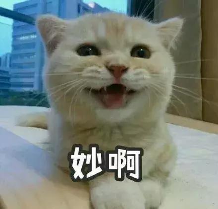 耿帅樊少皇最像照片,樊少皇耿帅