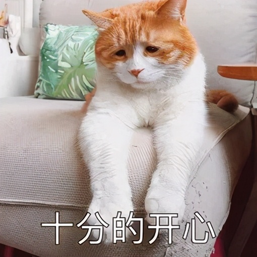 猫过敏会自己好吗,猫过敏会死吗