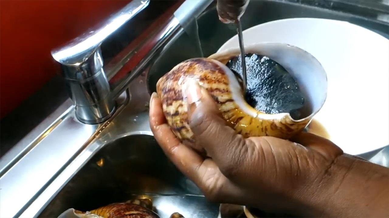 非洲蜗牛足有2斤重，入侵我国多年，云南河口被迫更换蔬菜品类