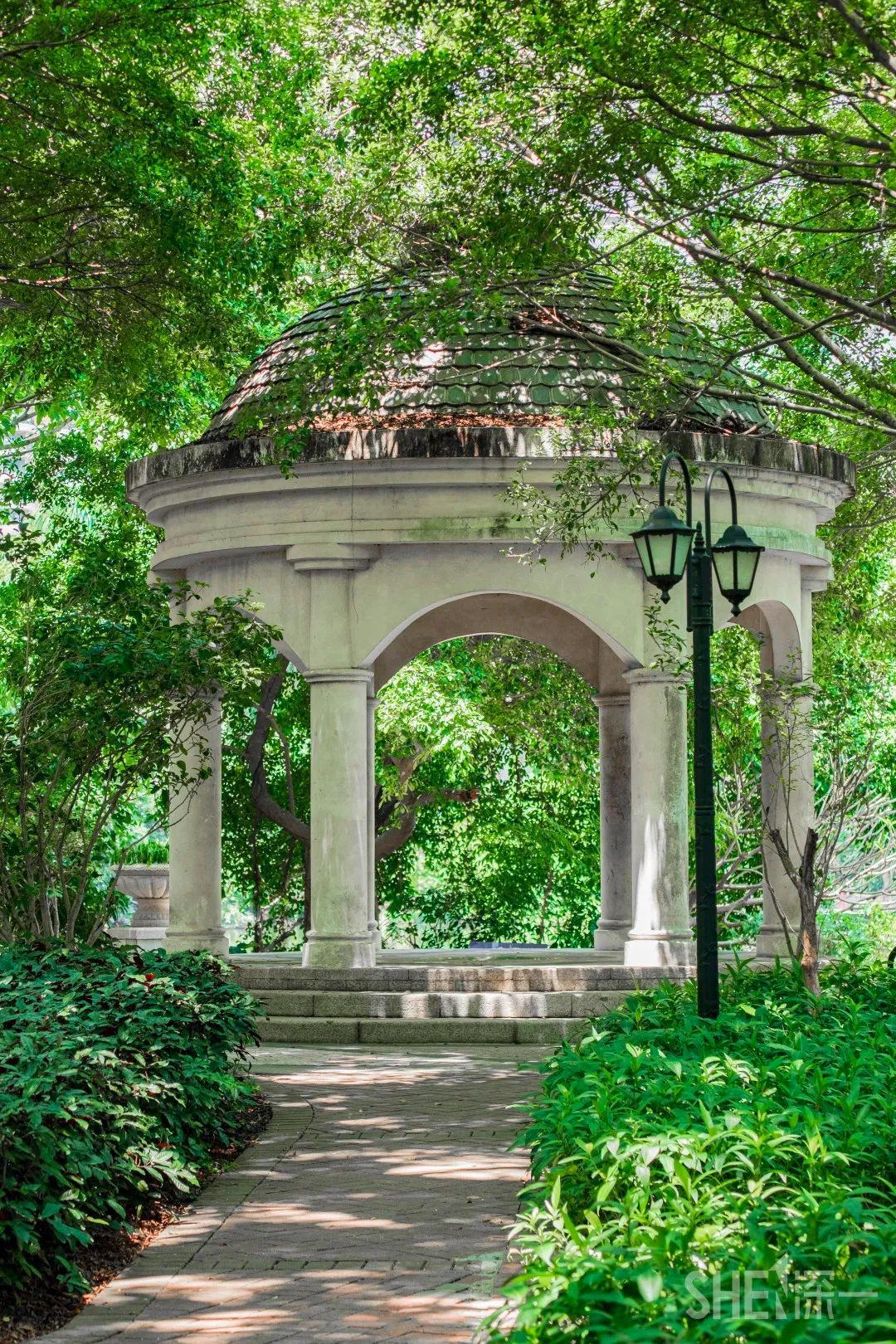 深圳二号线沿线有哪些景点游玩,深圳9号线沿途好玩的地方推荐