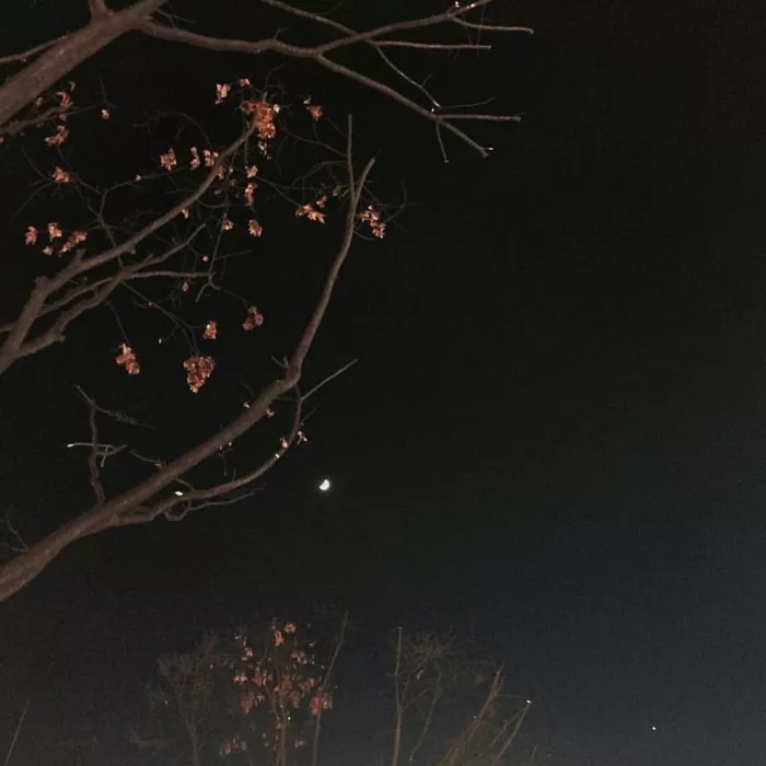 易经中的最吉利的微信头像招财,2024最招财带来好运的微信头像