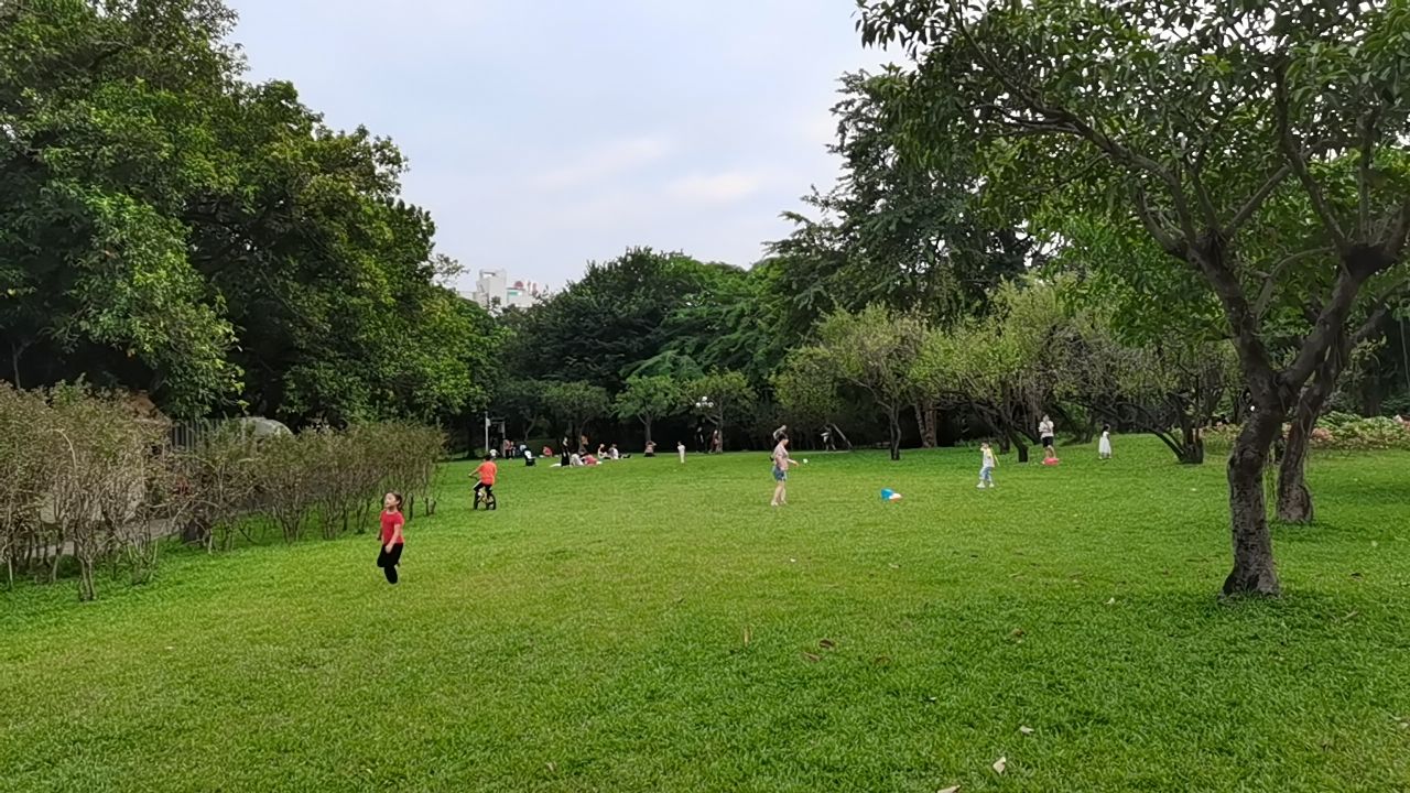 荔枝公园深圳,深圳第一公园荔枝公园