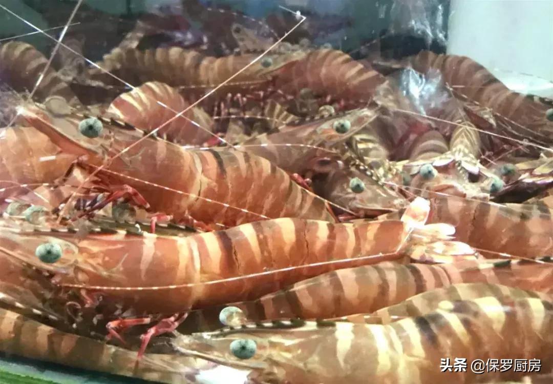 海鲜大荟萃,常见贝壳类海鲜