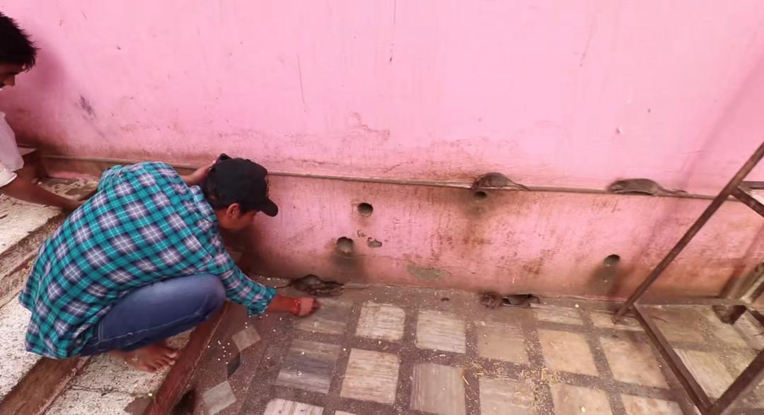 辞职后,我跑去印度恒河洗了个澡