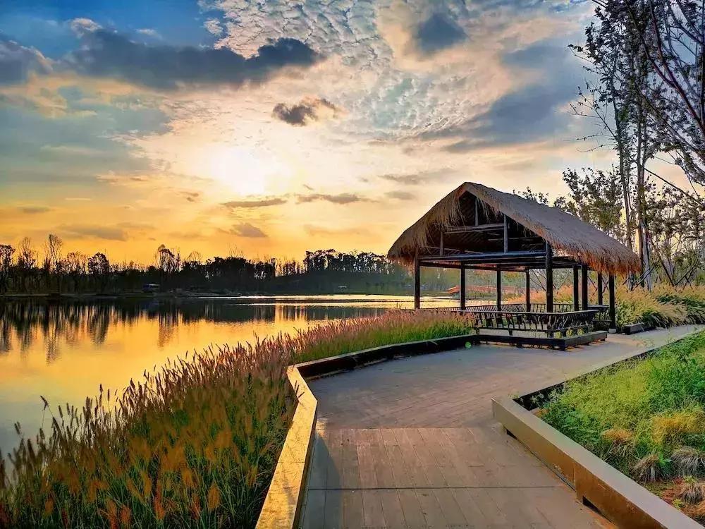 宛若美人卧成都，江家艺苑了解一下