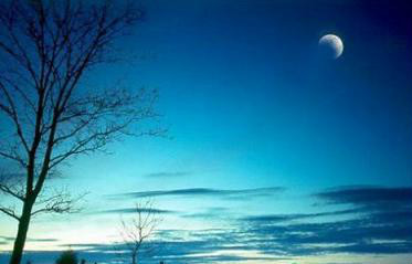 终于把小时候儿歌凑齐了！钦州的你中枪了几个？