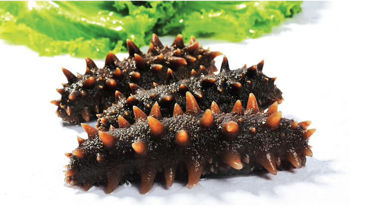 每天吃一个海参坚持一个月,每天吃根海参真的好吗