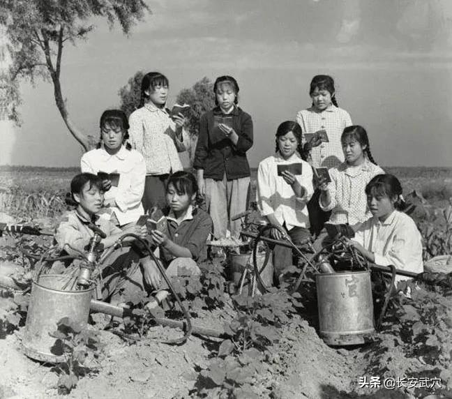 知青往事50年后回知青点,知青点的青春回忆