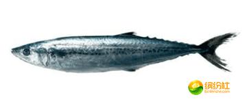 舟山海鲜攻略2天3晚吃什么,舟山海鲜代加工攻略