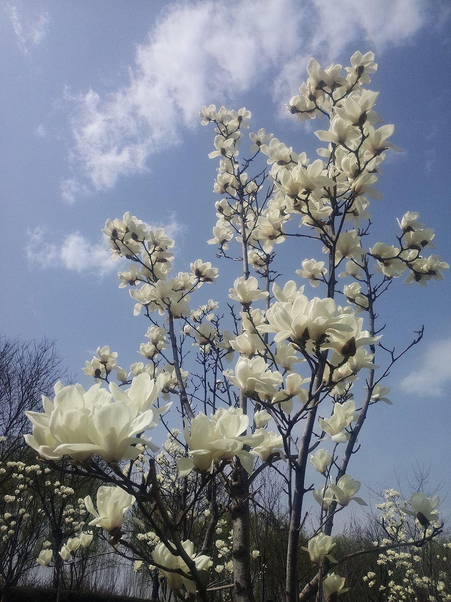 西安浐灞湿地公园内免费游玩推荐,西安浐灞亲子儿童乐园