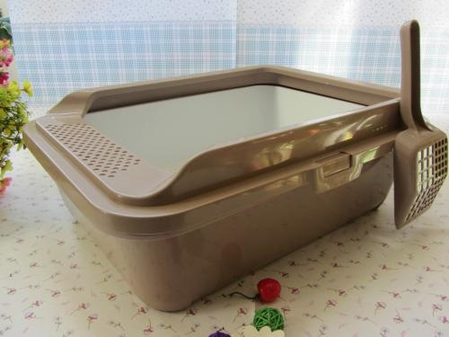 怀孕母猫有猫癣怎么办,怀孕母猫猫癣怎么处理