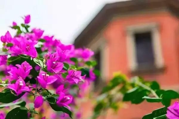 机票3.9折原价多少,3月机票比较便宜的是哪里